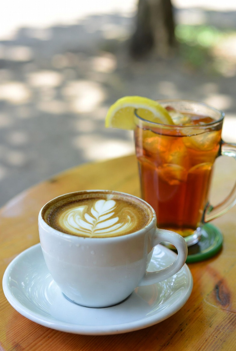 ドリンクセレクション